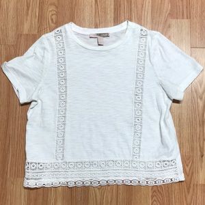 White Lace Crop Top